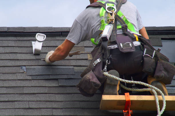 Best Roof Waterproofing Services  in La Homa, TX
