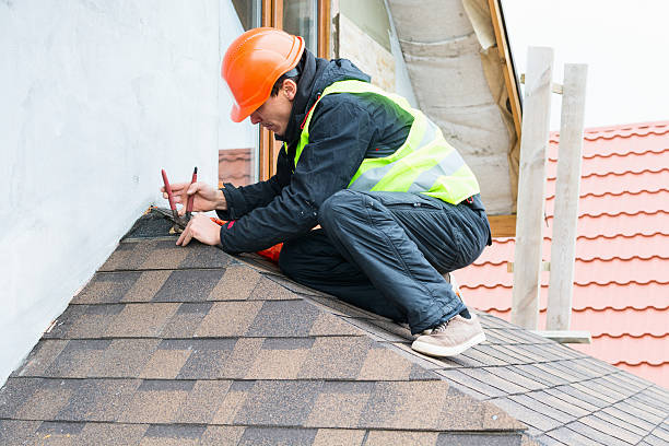 Best Roof Replacement Cost  in La Homa, TX